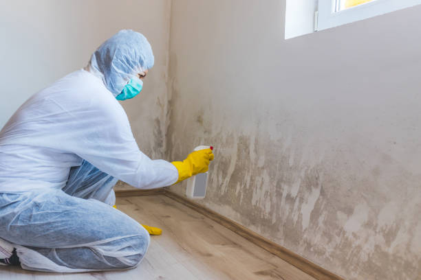 Commercial Mold Remediation assessment for commercial property in Berlin