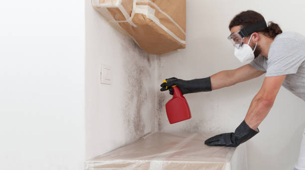 Attic Mold Remediation treatment on roof deck in Berlin